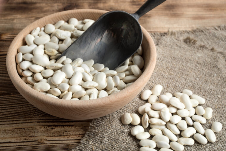 タンパク質を多く含む豆類の写真